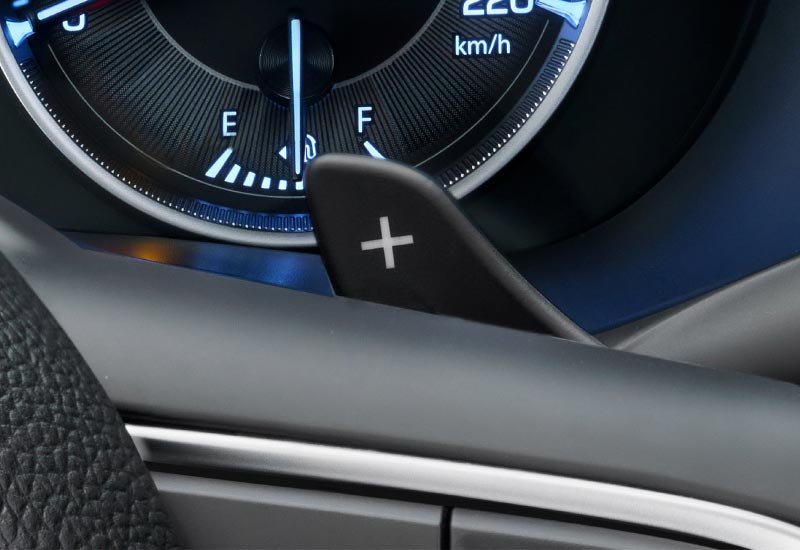 PADDLE SHIFTERS